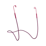 Tomorrowland x Loop Link